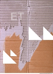 cardboard damaged 0004