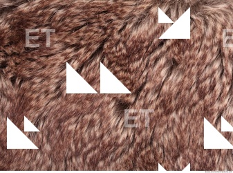 Fur