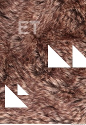 Fur