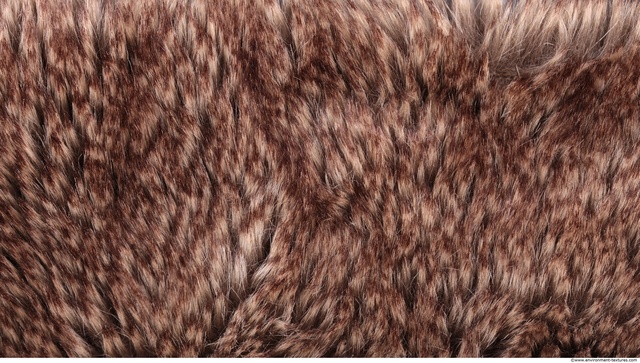 Fur