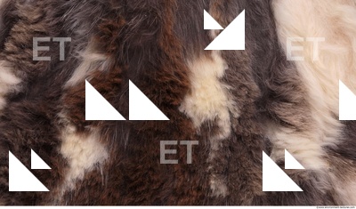 Fur