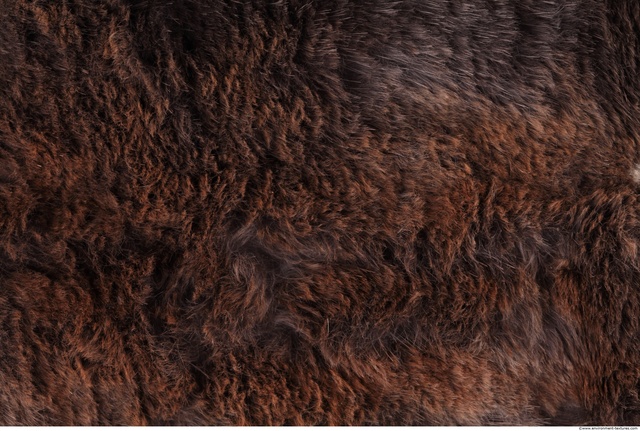 Fur