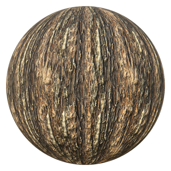 PBR texture wood tree bark