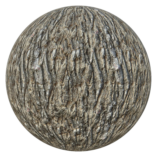 PBR texture wood tree bark