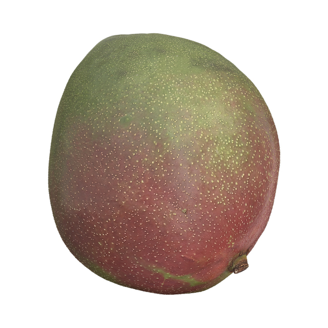 Mango Fruit Retopo 3D Scan