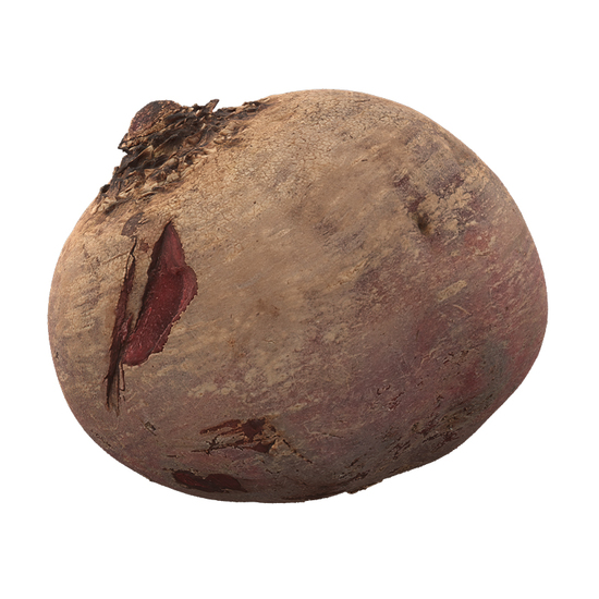 Beet Root 3D Scan Retopo