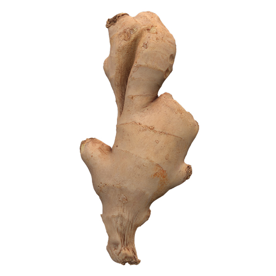 Ginger Root 3D Scan Retopo