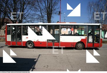 Photo References of Bus