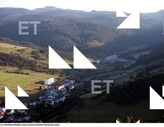 Photo Textures of Background Forest