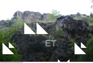 Photo Textures of Background Nature