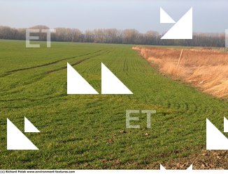 Photo Textures of Background Nature Spring