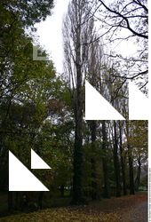 Photo Textures of Background Nature Autumn