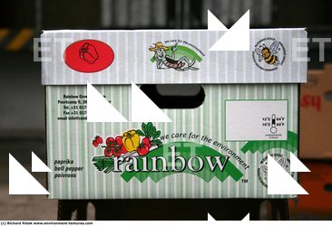 Photo Textures of Cardboard Box