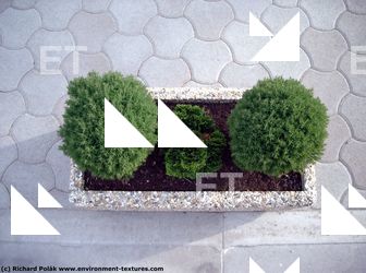 Photo Texture of Concrete Pot