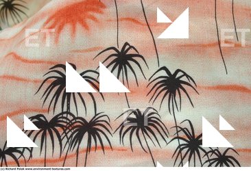 Photo Textures of Fabric Patterned