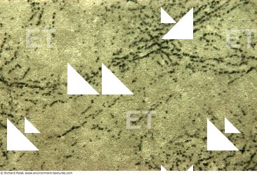 Photo Textures of Fabric Patterned