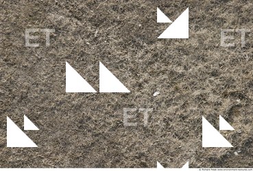 Photo Textures of Grass Dead