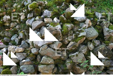 Photo Textures of Rock Mossy