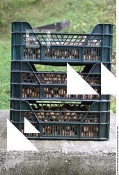 Photo Textures of Plastic Box