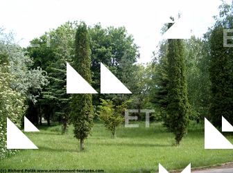 Photo Textures of Trees