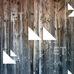 Photo Session