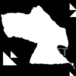 Photo Session