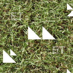 Seamless Grass