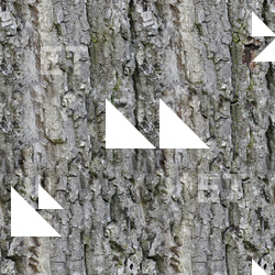 Seamless Bark