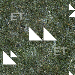 Seamless Grass