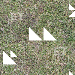 Seamless Grass