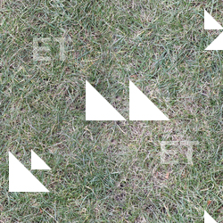 Seamless Grass