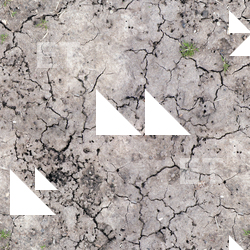 Photo Textures of Seamless Soil