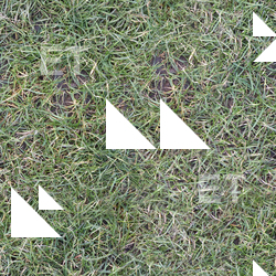 Seamless Grass
