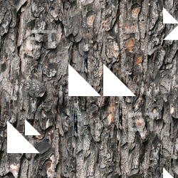 Seamless Bark