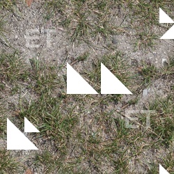 Seamless Grass