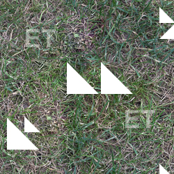 Seamless Grass