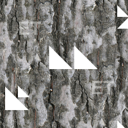 Seamless Bark
