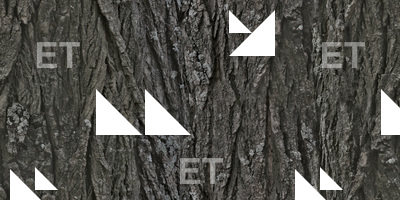 Seamless Bark