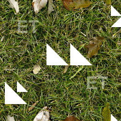 Seamless Grass