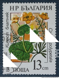 Photo Texture of Postage Stamp