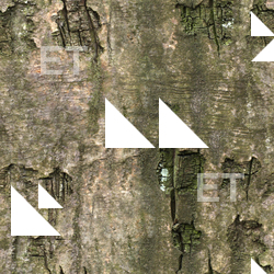Seamless Bark