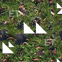 Seamless Grass