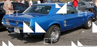 Photo Reference of Veteran