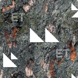 Seamless Bark