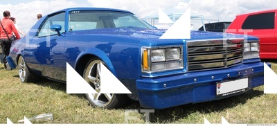 Photo Reference of Veteran