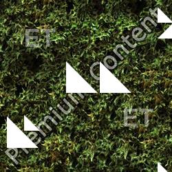 Seamless Ground 0025