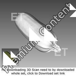 3D Scan of Pumpkin 2