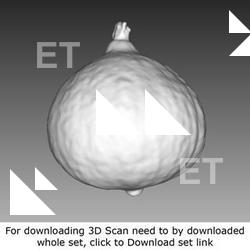 3D Scan of Pumpkin 3