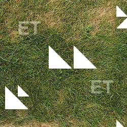 Photo Textures of Grass