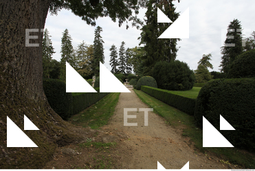 Photo Textures of Background Garden